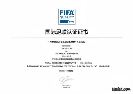恒大足球俱乐部训练基地4号足球场