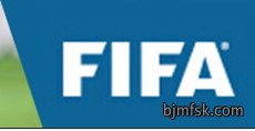 人造草坪 FIFA 会员企业